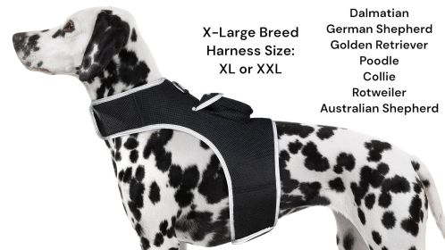 Get Realtime Location Update w/ Pet Tracker GPS Tracking Collars for Dogs Size:XS
