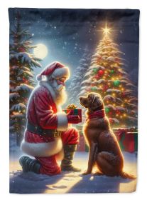 Chesapeake Bay Retriever and Santa Claus House Flag Large Porch Sleeve  Decorative Outside Yard Banner Artwork Wall Hanging, Polyester, House Size