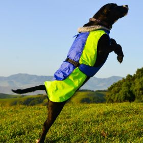 Alpine All-Weather Dog Coat (Color: Blue and Green, size: X-Large)
