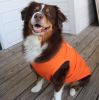 Happy Face Dog Shirt