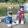 Venture Paw Pull Control Dog Harness
