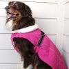 Alpine Tuf Terrain Dog Coat