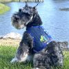 Cool Mesh Dog Harness with Leash