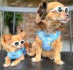 Wrap and Snap Choke Free Dog Harness by Doggie Design
