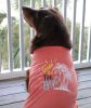 Gone To The Beach Dog Shirt
