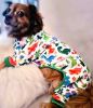 Soft Dog Pajamas